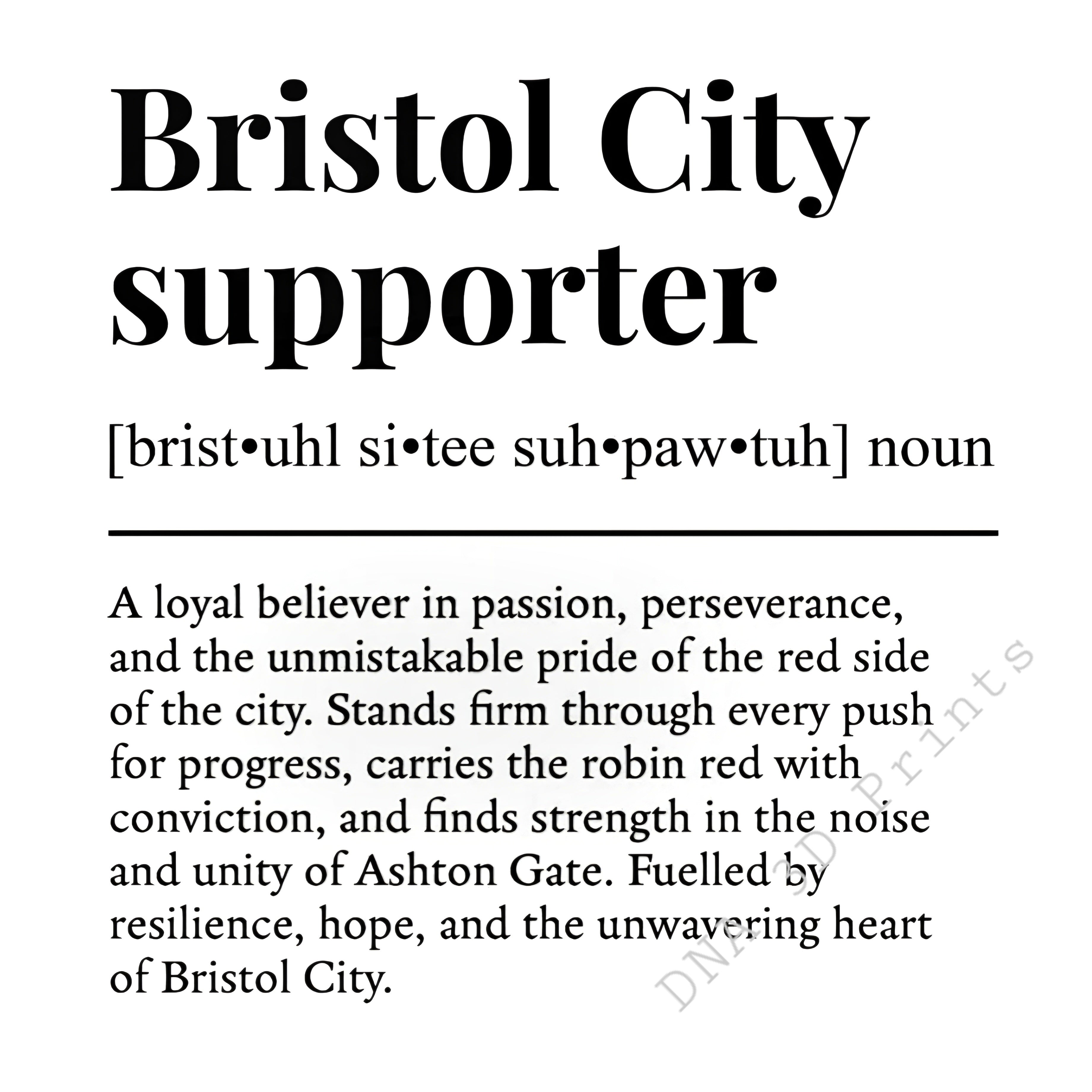 Football Supporter Slate Coasters