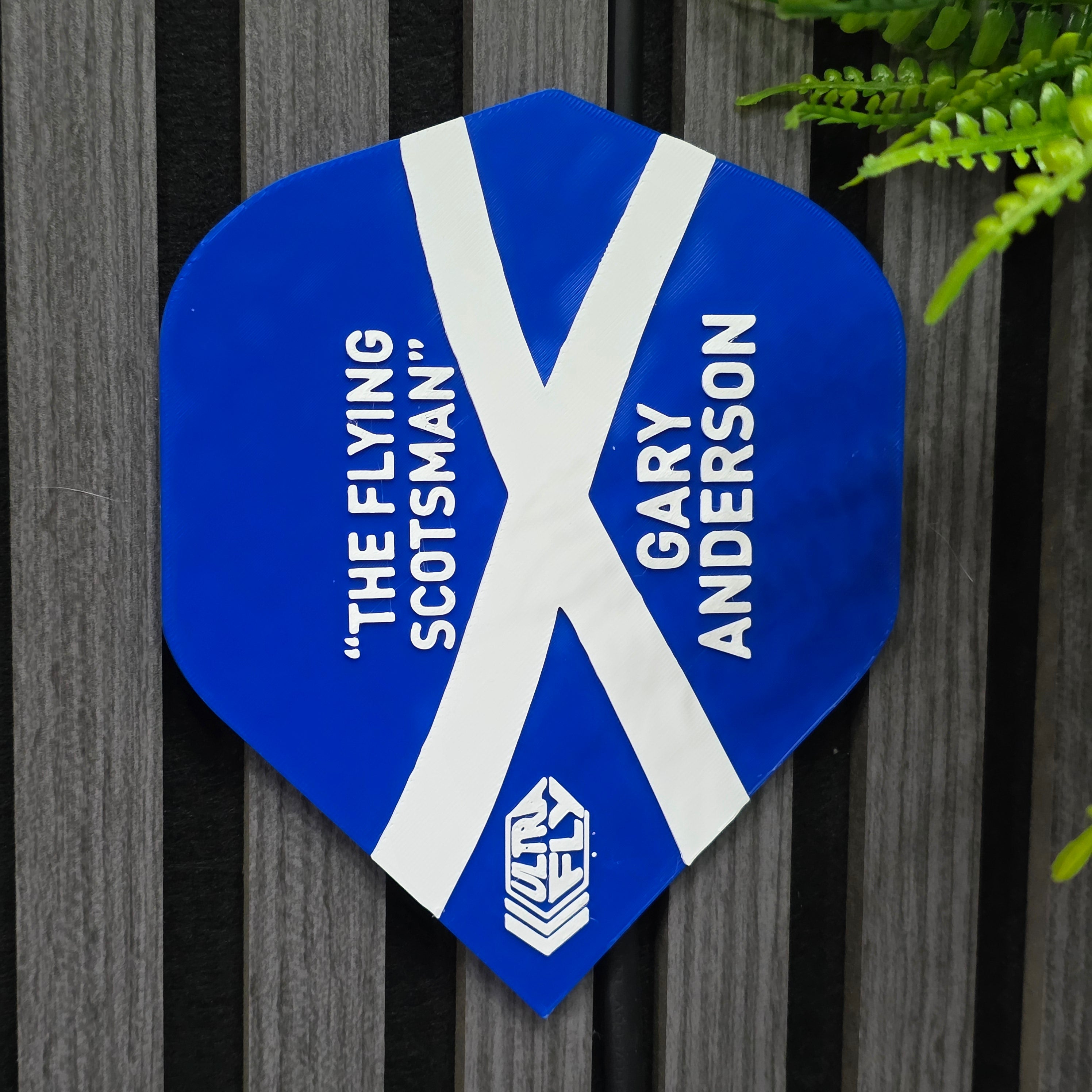 XL Dart Flight Wall Art