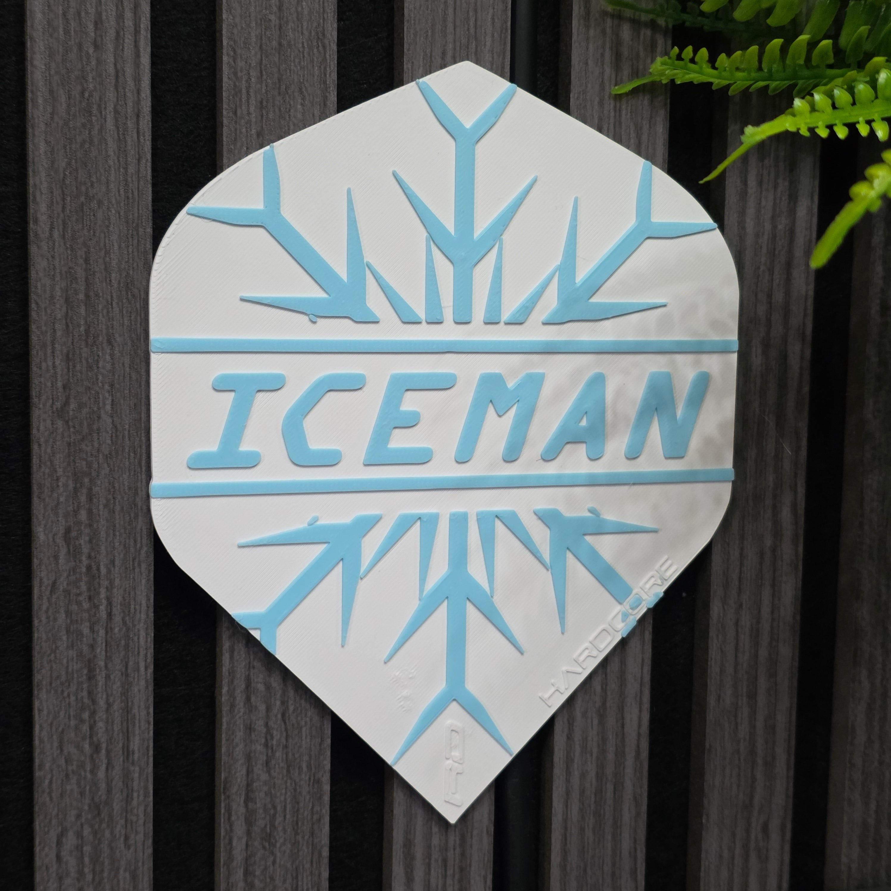 XL Dart Flight Wall Art