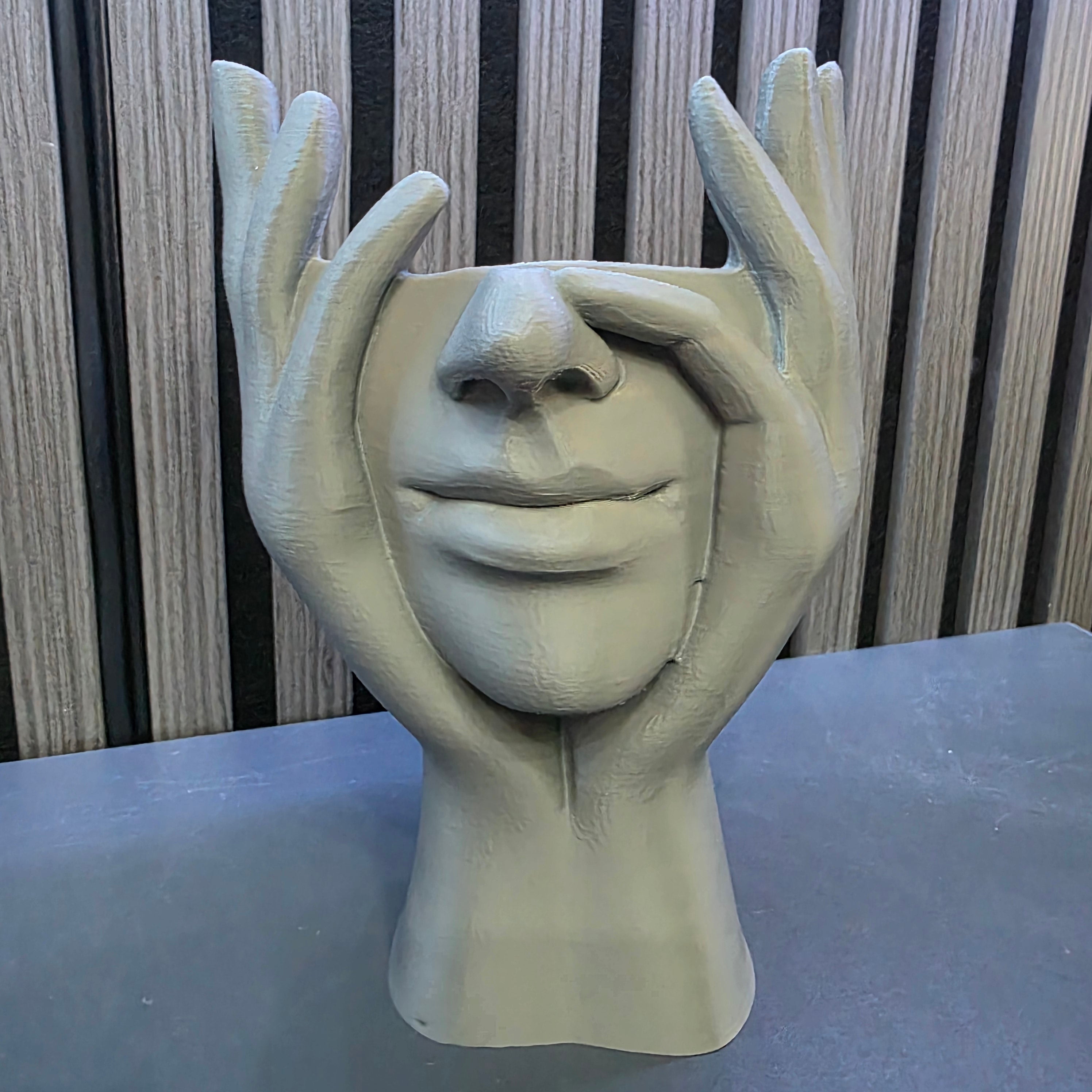 Abstract Lady Face Vase, 3D Printed Display Decoration